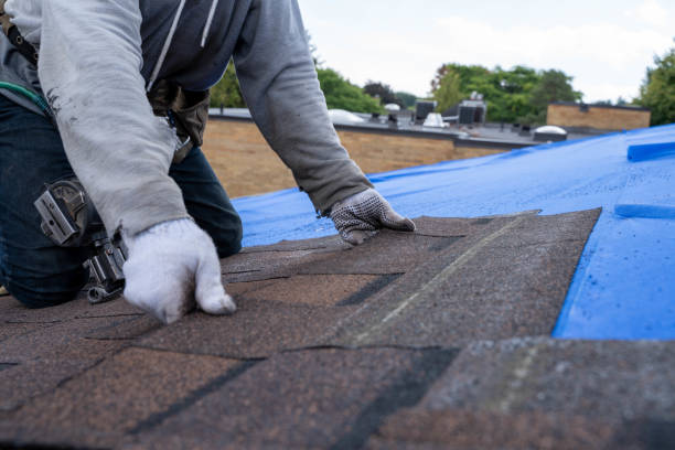 Quick and Trustworthy Emergency Roof Repair Services in St Peter, WI
