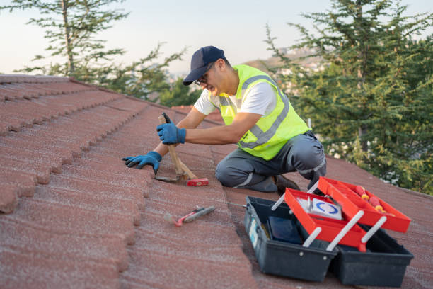 Gutter Installation and Roofing in St Peter, WI