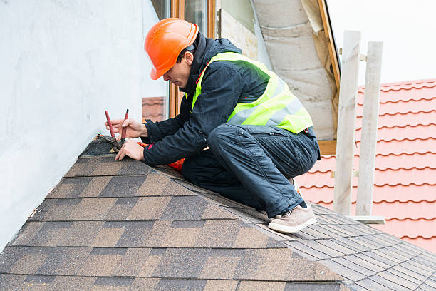 Best Metal Roofing Contractor  in St Peter, WI